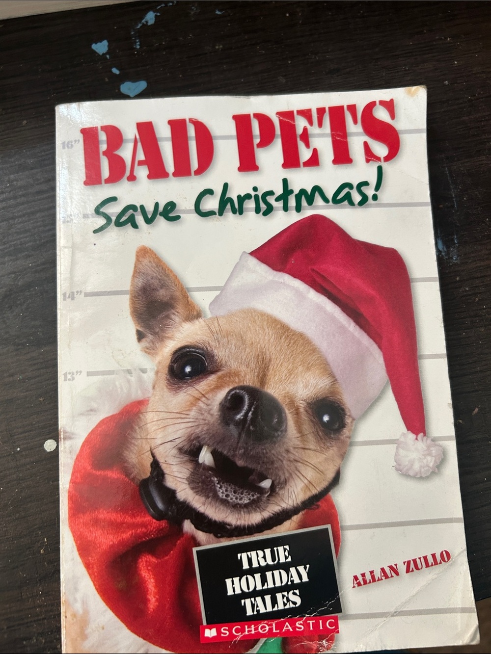Book cover of a dog in a Santa hat